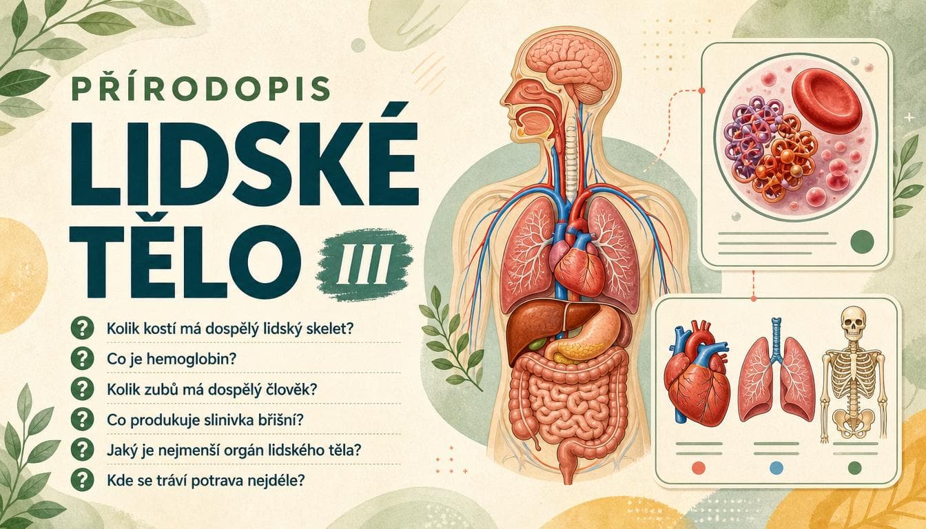 Náhledový obrázek kvízu Přírodopis: Lidské tělo III